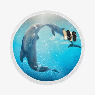 Dolphin Tale 2 Movie Round Beach Towel